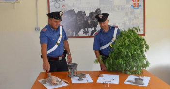 San Cesareo, arrestato “coltivatore diretto” di marijuana