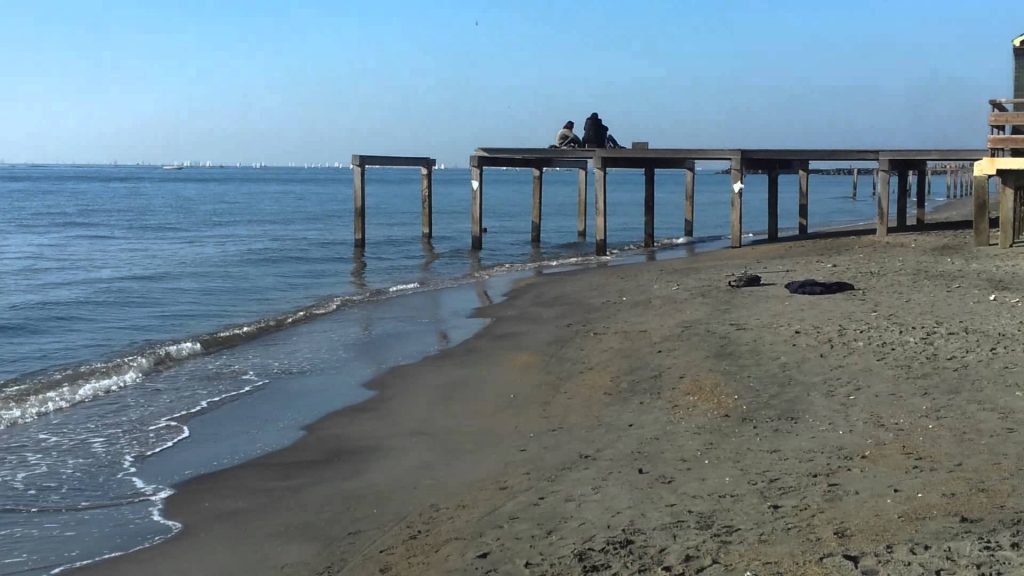 Riserva del litorale romano, le associazioni lanciano appello a Zingaretti Montino e Raggi