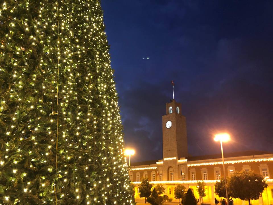Latina in festa per il Natale: con l’albero e le luminarie anche pista di ghiaccio e mercatini artigianali