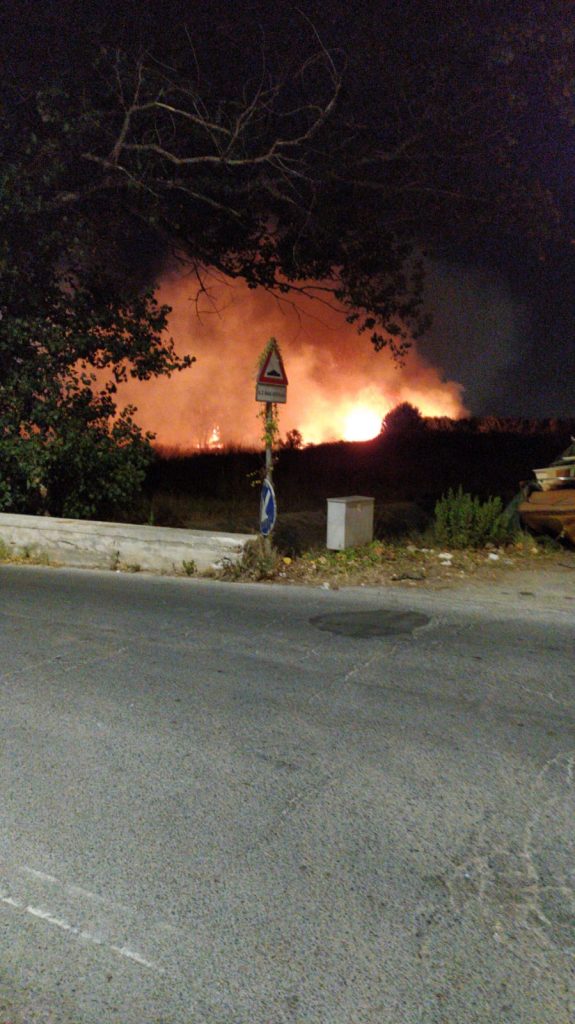 Ardea brucia. Ennesimo incendio in viale Marino a Tor San Lorenzo