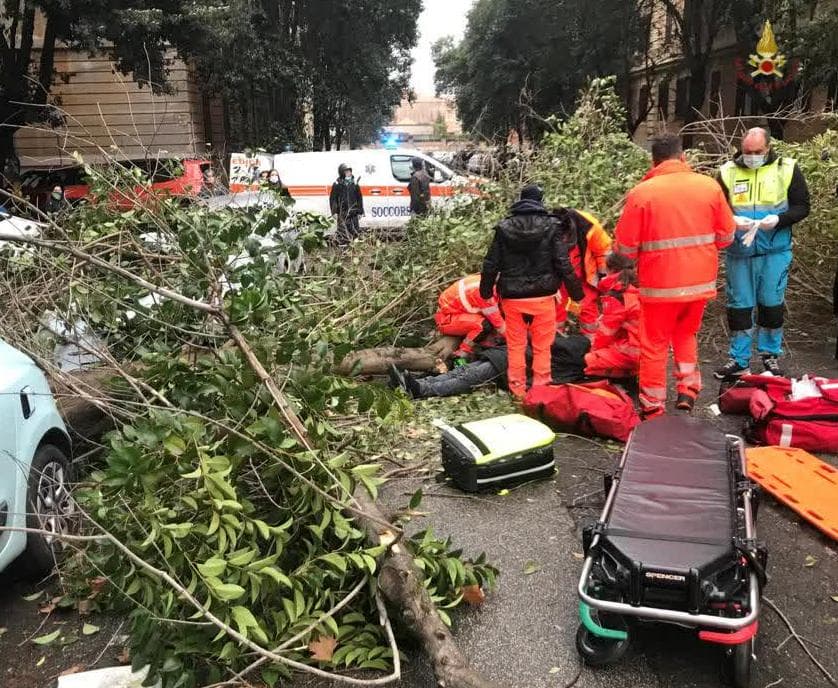 Maltempo a Roma, alberi e rami cadono in strada: colpito un uomo a Flaminio, auto sbanda sul lungotevere