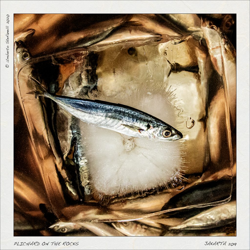 Anzio: nuova mostra fotografica di Umberto Stefanelli: “Un attimo di distrazione regalato alla vita”