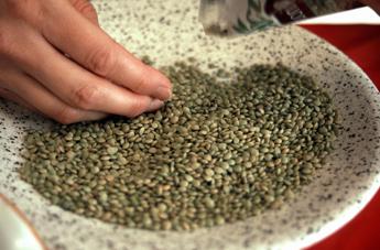 Natale: dalle lenticchie al pesce alla frutta secca, i cibi alleati contro il cancro