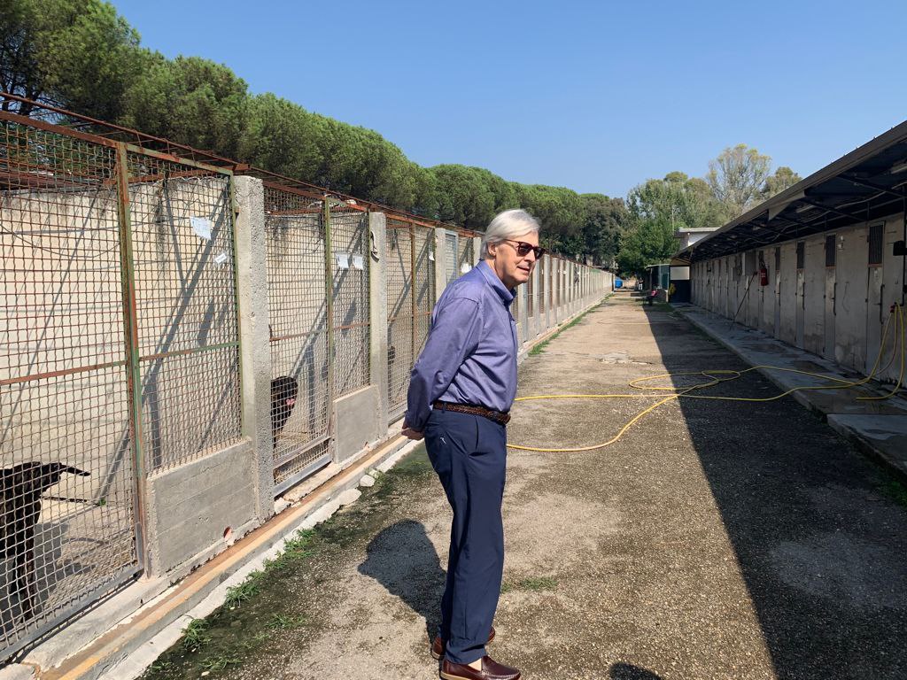 Ponte Marconi, blitz di Rivoluzione Animalista e Sgarbi: “I cani in quarantena li poteva prevedere solo la Raggi”