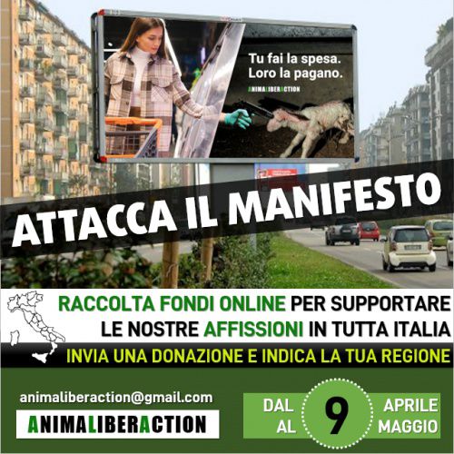 Comunicazione, ATTACCA IL MANIFESTO è una campagna di AnimaLiberAction