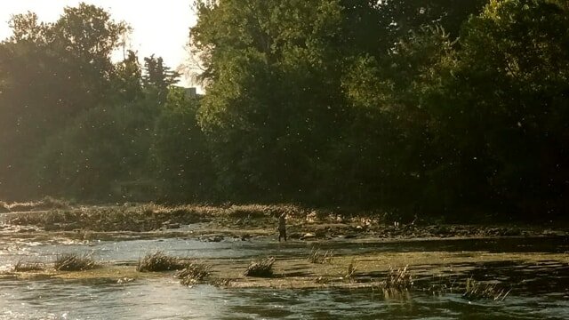 ROMA, ASSOTUTELA: “TEVERE IN CRISI, ISTITUZIONI INTERVENGANO”