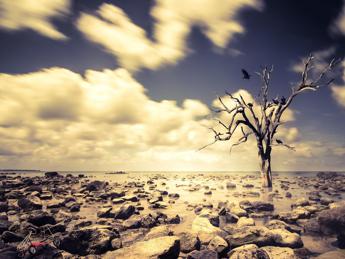 Italiani e crisi climatica: percezione, rischi e responsabilità