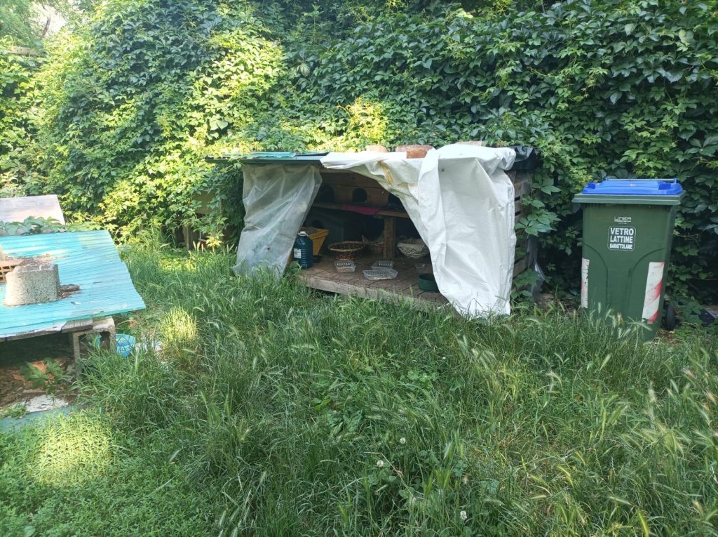 Cremona, Rea: “Basta inefficienze. Sindaco sistemi colonia felina in luogo sicuro e adeguato”