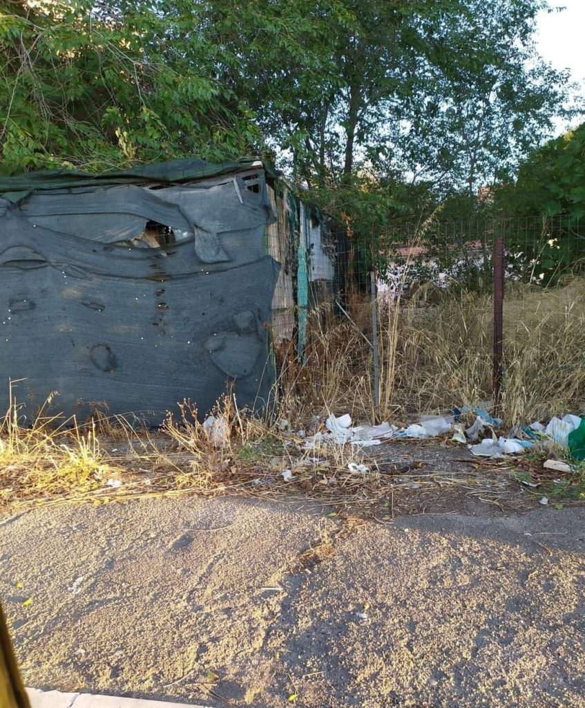 Foggia, Caramanica(Rea): “Su cani via Almirante ASL inefficiente e contraddittoria”