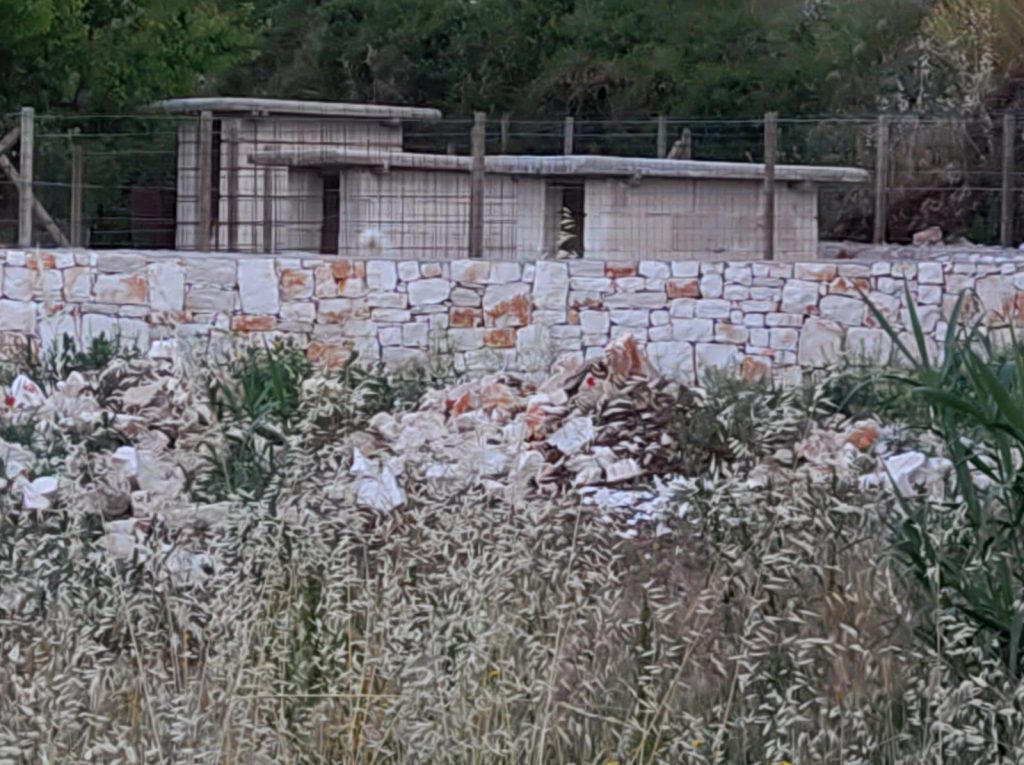 Bari, Caramanica(Rea): “Cani da combattimento e abusivismo a Lama San Giorgio? Chiarire o esposto in procura”