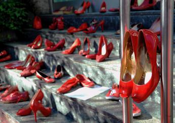 107 donne morte da inizio anno, in aumento quelle uccise da partner o ex