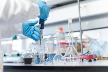 Leucemia linfatica cronica, studi confermano efficacia a lungo termine di ibrutinib più venetoclax