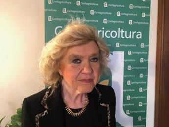 Alimenti, nutrizionista Hrelia: “Carne rossa fonte preziosa di vitamina B12”