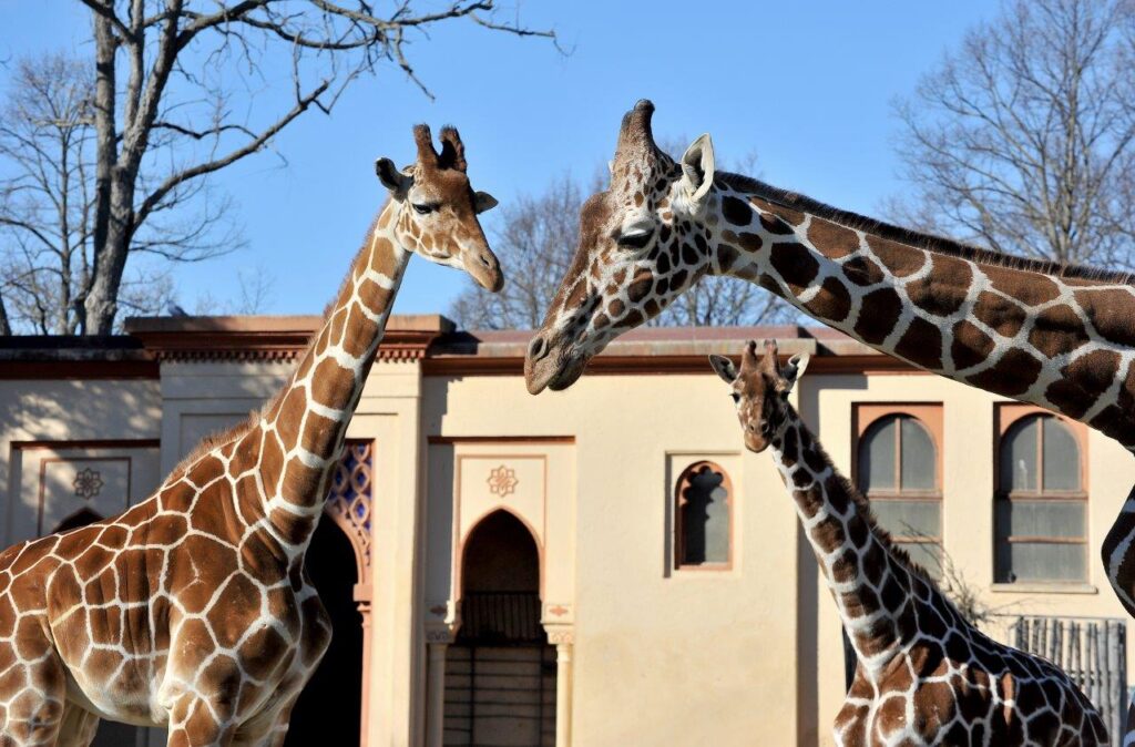 Bioparco