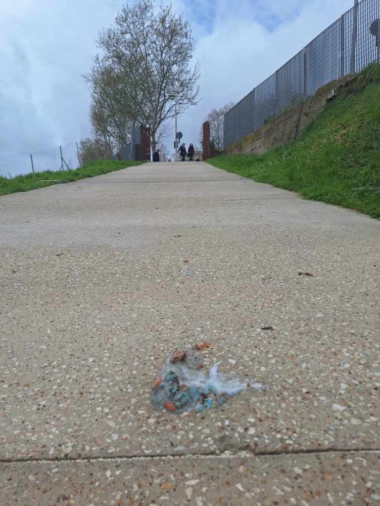 PARCO MARCONI
