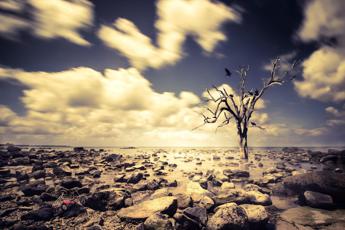 Clima, Consulcesi: “Contro negazionismo ed eco-ansia più formazione”