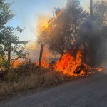 Protezioni Civili Alfa della zona e Nettuno Odv