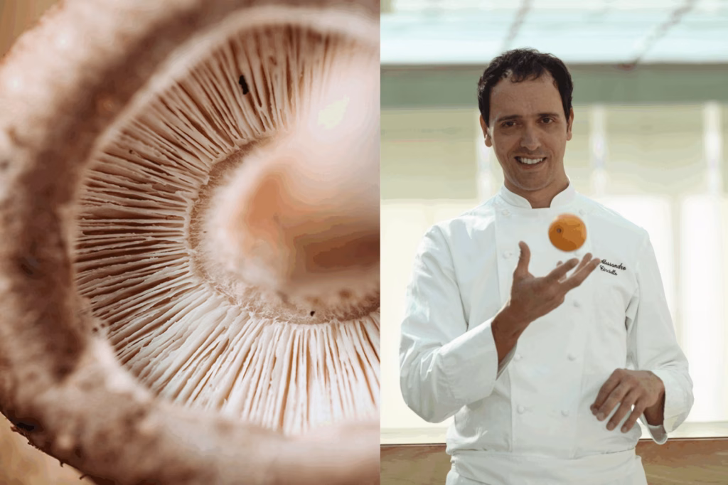Il fungo Quercetto debutta al Cook Fest di Milano con lo chef Alessandro Circiello