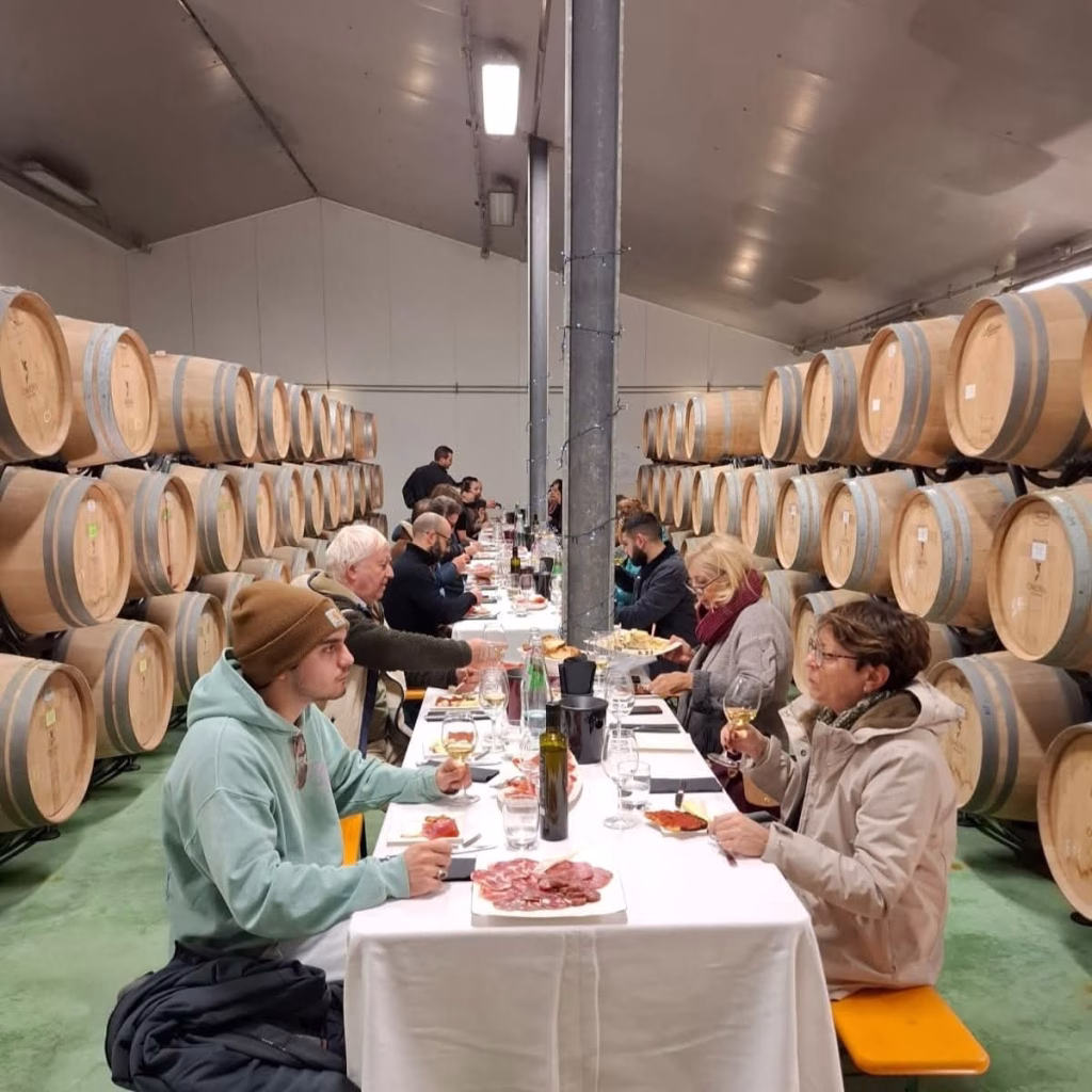 “Natale in Cantina”, l’esperienza fra gusto e cultura a Velletri