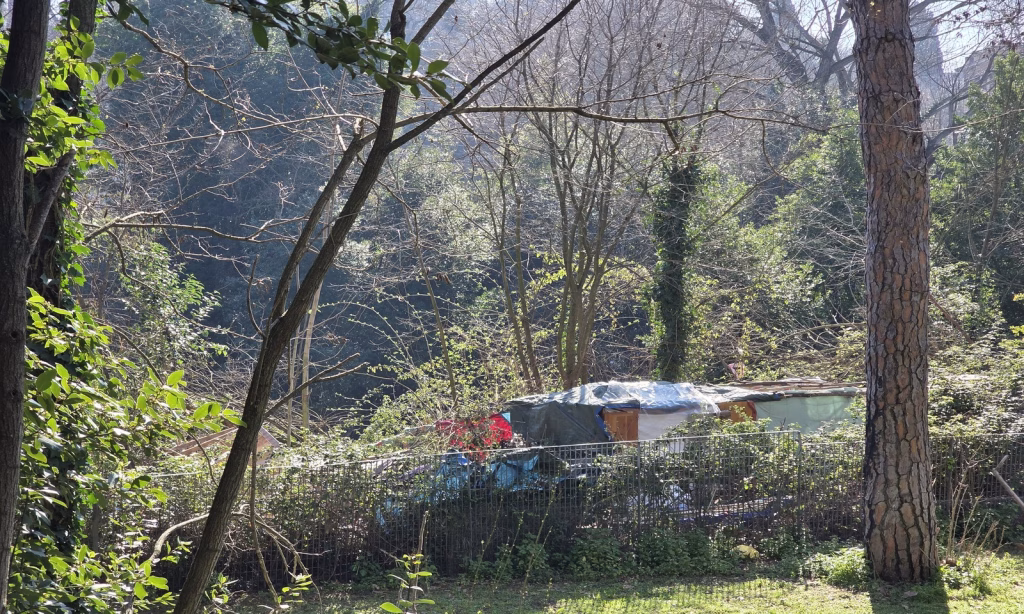 Roma, accampamenti e discariche a Ponte Tazio: pino crollato utilizzato come attaccapanni