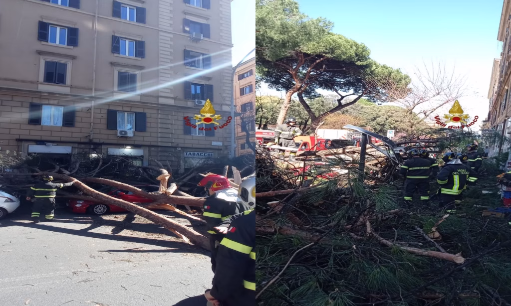 Roma, enorme albero crolla sulla Tiburtina: 2 feriti e 5 auto colpite